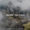 rooted.® The Original Palo Santo - Indian [Smoking Wood] from