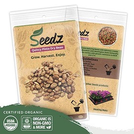 Organic Bean Seeds, Appr. 115, Pinto Dry Bean, Heirloom Vegetable Seeds, Certified Organic, Non GMO, Non Hybrid, USA