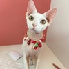 Hjvvr Cat Collar With Bell,Breakaway Pet Collar,Red Theme Strawberry Collar