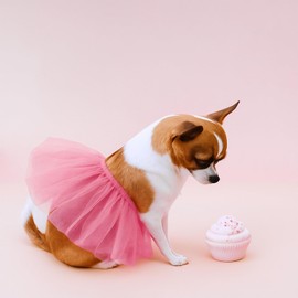 Dog Tutu Pink Tutu for Dogs, Cute Dog Dresses for Small Dogs Girl for Small and Medium-Sized Pets, Suitable for Birthday Parties, Wedding Photo Props Costumes