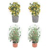 PDGROW Garden Mesh Netting for Plants, 4 Pack Insect Bird