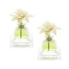 AGRARIA Petite Diffuser Duo, Lime & Orange