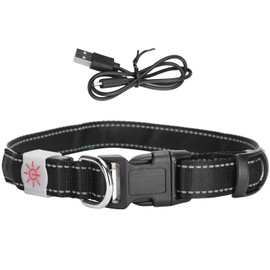 USB Rechargeable LED Pet Adjustable Carved Collar Dog Lighting Night Safety CollarGreen Leather M