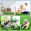 Alfombra Césped Perros Fengtuilie 71x46cm Lavable Ecológica Verde