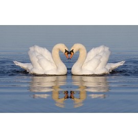 3D Postcard with Heart Design