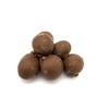Milk Chocolate Double Dipped Peanuts, Bulk Size (1 lb. Resealable