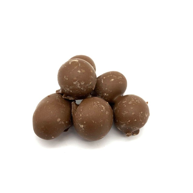 Milk Chocolate Double Dipped Peanuts, Bulk Size (1 lb. Resealable