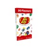 Jelly Belly | 20 Assorted Box, 1x100g