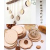 50 Pcs Natural Wood Slices, BetterJonny 2''-2.5'' Unfinished Predrilled Round