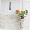 Levemolo 1 Pair Flowerpot Racks Wall Planter Hooks for Use