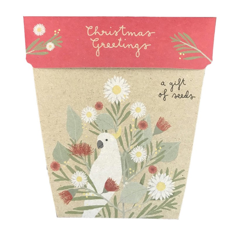 SOW 'N SOW Gift of Seeds - different styles, Poppy