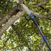 Pole Saws for Tree Trimming, 6.5 FT Long Extension Pruning
