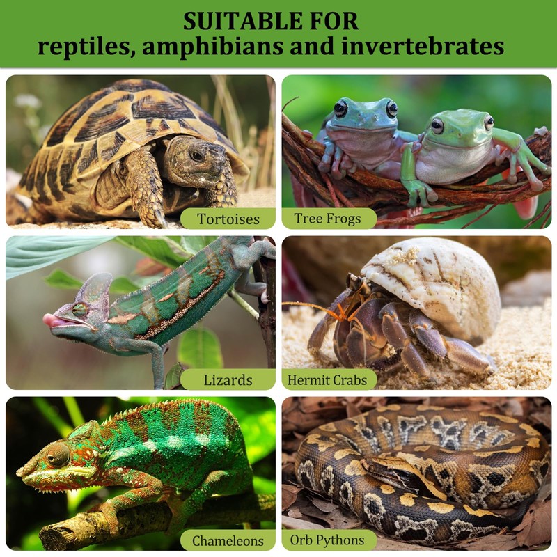 Riare 2LBS Expanded Clay Balls Terrarium Substrate for Reptiles -