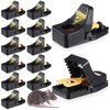 Qualirey Mouse Traps Indoor for Home Rat Traps for House