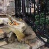ABOOFAN Floating Crocodile Head Ornament Realistic Pond Decor for Pool