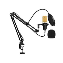 Mr. Dj CONDKIT5 Studio Condenser Microphone Arm Stand Pop Filter Foam Cap Kit Record Accessory