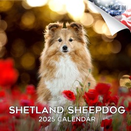 2024 2025 Shetland Sheepdog Calendar - Dog Breed Monthly Wall Calendar - 12 x 24 Open - Thick No-Bleed Paper - Giftable - Academic Teacher's Planner Calendar Organizing & Planning - Made in USA