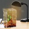 2 Reptile Terrarium Box, Acrylic Terrarium Snails with Ventilation, 360°