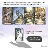 Soul Cats Tarot Soul Cats Tarot (Includes Tarot Divination Manual)