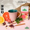 Saint Gottard Pink Lemonade Herbal Tea – Fruity Infusion with