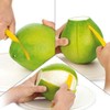 Tescoma Pomelo and Grapefruit Peeler Presto, Multi-Colour, 26.5x1.4x7 cm