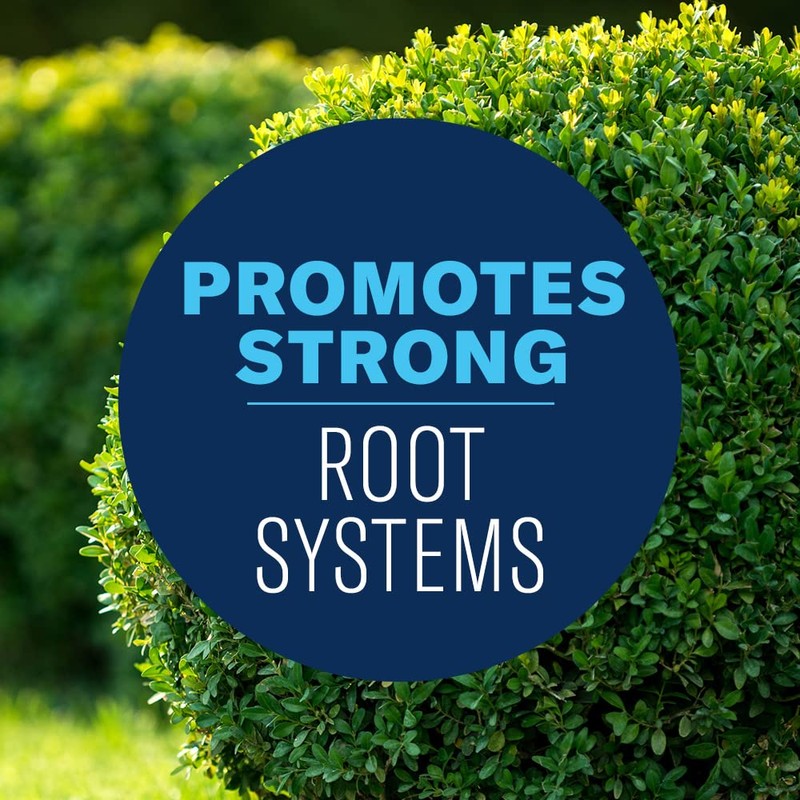 BioAdvanced Shrub Care Protect & Feed, Granules, 4 lb.