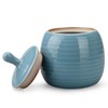 Amoysanli Kitchen Canisters Vintage Ceramic Food Storage Jar with Airtight