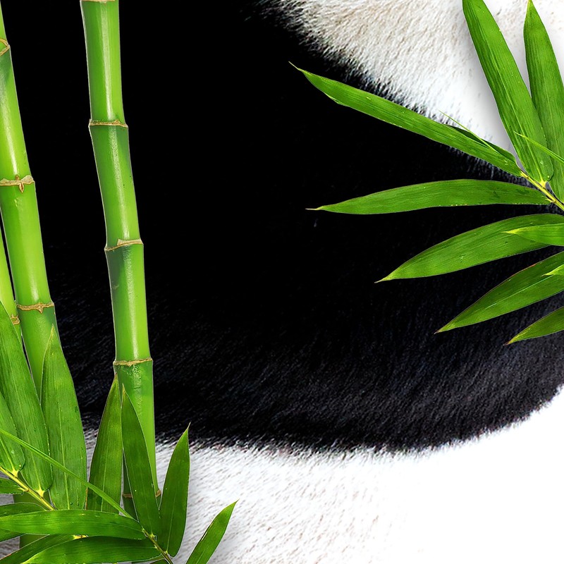 Bear Fruits Bamboo Strength + Length Hair Mask with Panda