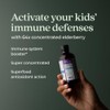 New Chapter New Chapter Elderberry Kids Syrup, Advanced Immune Defense