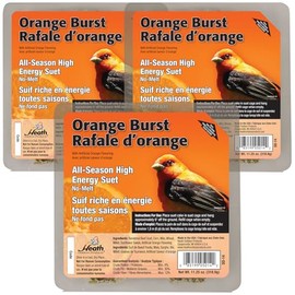Heath Orange Burst Suet Cakes Sample Pack, Contains 3 Suet Cakes, Try It, Your Birds Will Love it, for Woodpeckers, Cardinals, Siskins, Sparrows, Finchs & Many More Wild Bird Species