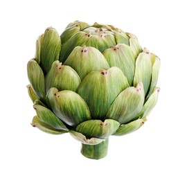 4"HX4"W Artichoke Green (Pack of 4)