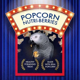 LAFEBER'S Popcorn Nutri-Berries, for Parrots, 4 oz Bag (Pack of 2)