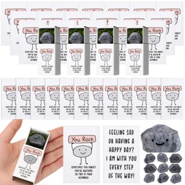 Wonderjune 72 Sets Emotional Support Positive You Rock Gifts for Employee Teacher Volunteer Coworkers Administrator Nurse Lab Week End of Year Gifts Graduation Party Favors