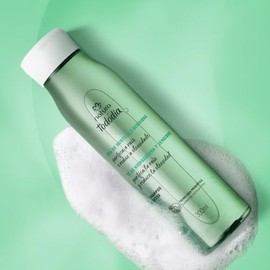 Natura Tododia Shampoo Detox Capilar, Té de Menta y Jengibre, Purifica la Raíz y Reduce la Oleosidad, 300ml