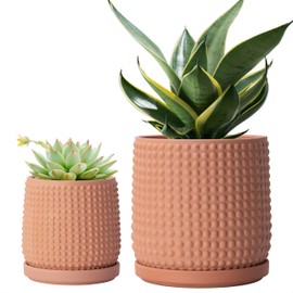 D'vine Dev 6 Inch 4 Inch Terracotta Indoor Planter Pots with Drainage Hole and Saucer, Beaded Design Flower Pots, Set of 2, Terracotta Color, 27-D-U-7