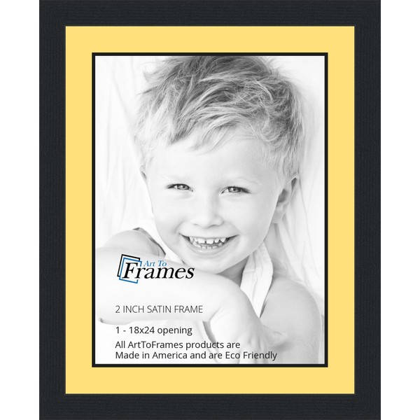 18x24 / 18 x 24 Picture Frame Satin Black ..