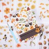 PET Scrapbook Stickers, DIY Decorative Products (Apricot Yellow)
