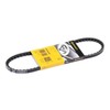 CONTITECH AVX10X700 V-Belt