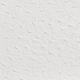 White Ostrich Emu Outdoor Indoor Marine Vinyl by The Yard from Nassimi - SKU: Loretta White