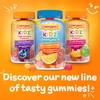 Emergen-C Emergen-C Kidz Daily Immune Support Dietary Supplements, Flavored Gummies