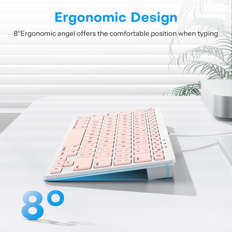 OMOTON Wired Keyboard for Mac with Dual Interface, Comfortable Typing