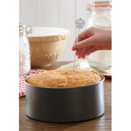 Mason Cash Stainless Steel Cake Tester, Silver, 23.5cm