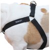 Cotton Web Adjustable Dog Step-in Harness 4 Sizes Black (XLarge: