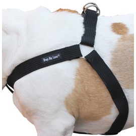 Cotton Web Adjustable Dog Step-in Harness 4 Sizes Black (XLarge: 21"-37" Chest; 1.2" Wide)