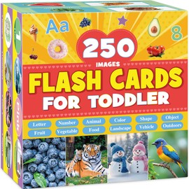 Flash Cards for Toddlers 1-3,250 Images,Alphabet ABC Flash Cards,Letter Number Animal Shape Color,Educational Toy for Baby Kid Preschool Kindergarten Learning Activities,Extra Thick Double-Sided Cards