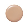 Kose Asterlux CC Liquid Foundation AX #002, 1.0 fl oz
