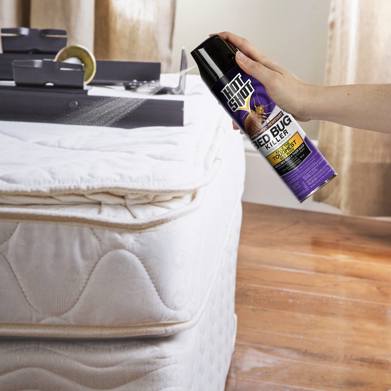 Hot Shot Bed Bug Killer Aerosol, Bed Bug Treatment, 17.5