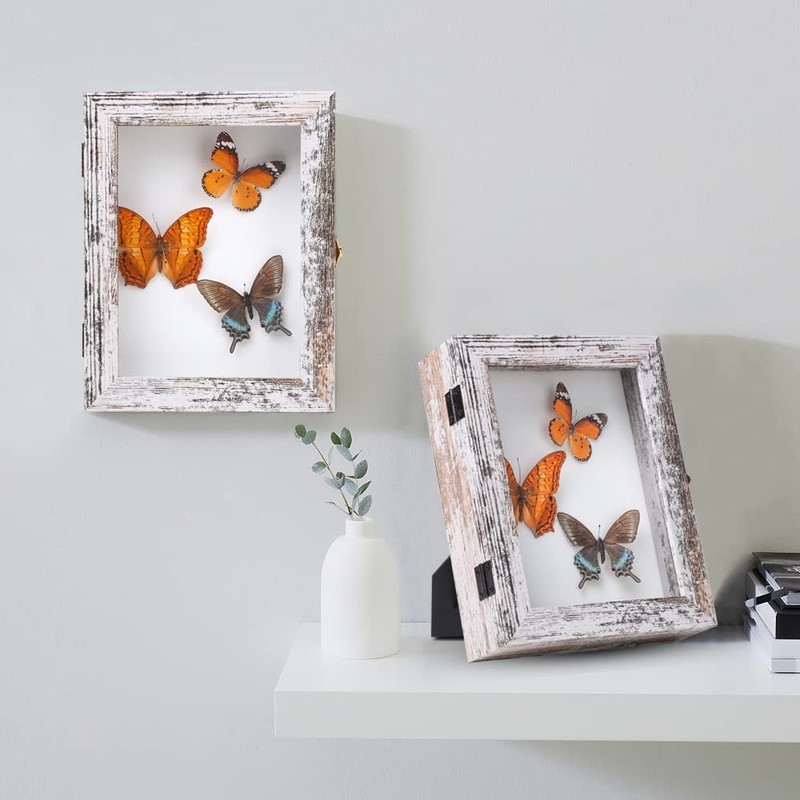 IHEIPYE Insect Display Case Wall Mount Bug Display Case with