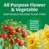 Scotts All Purpose Flower and Vegetable Continuous Release Plant Food,