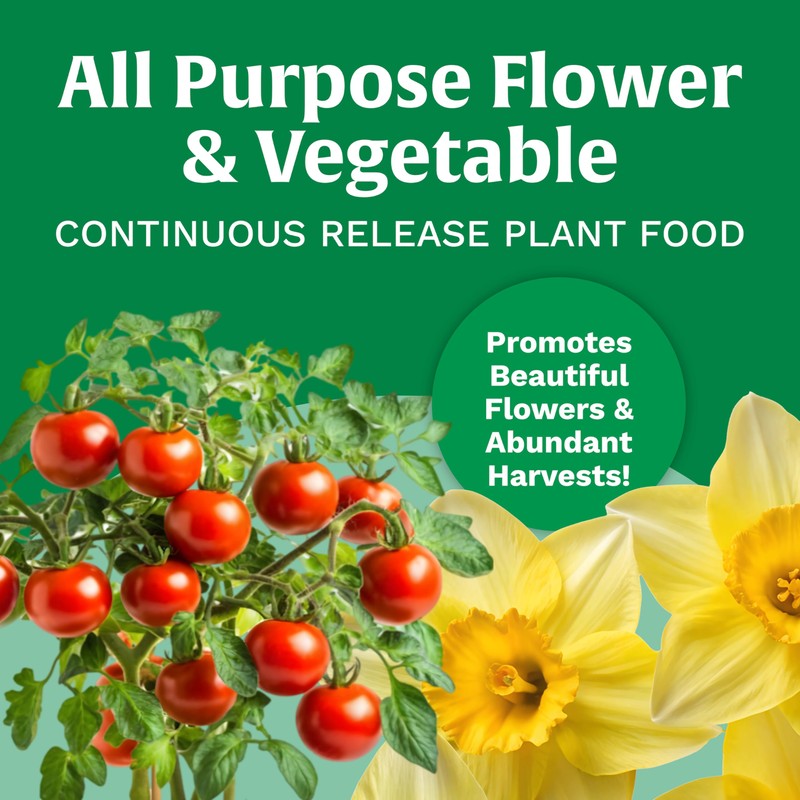 Scotts All Purpose Flower and Vegetable Continuous Release Plant Food,